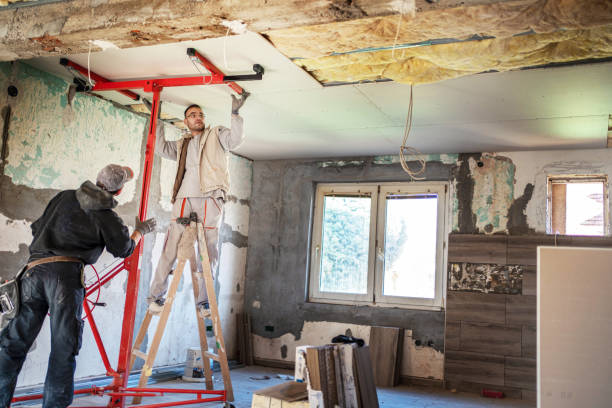 Best Eco-Friendly Insulation in Brookshire, TX